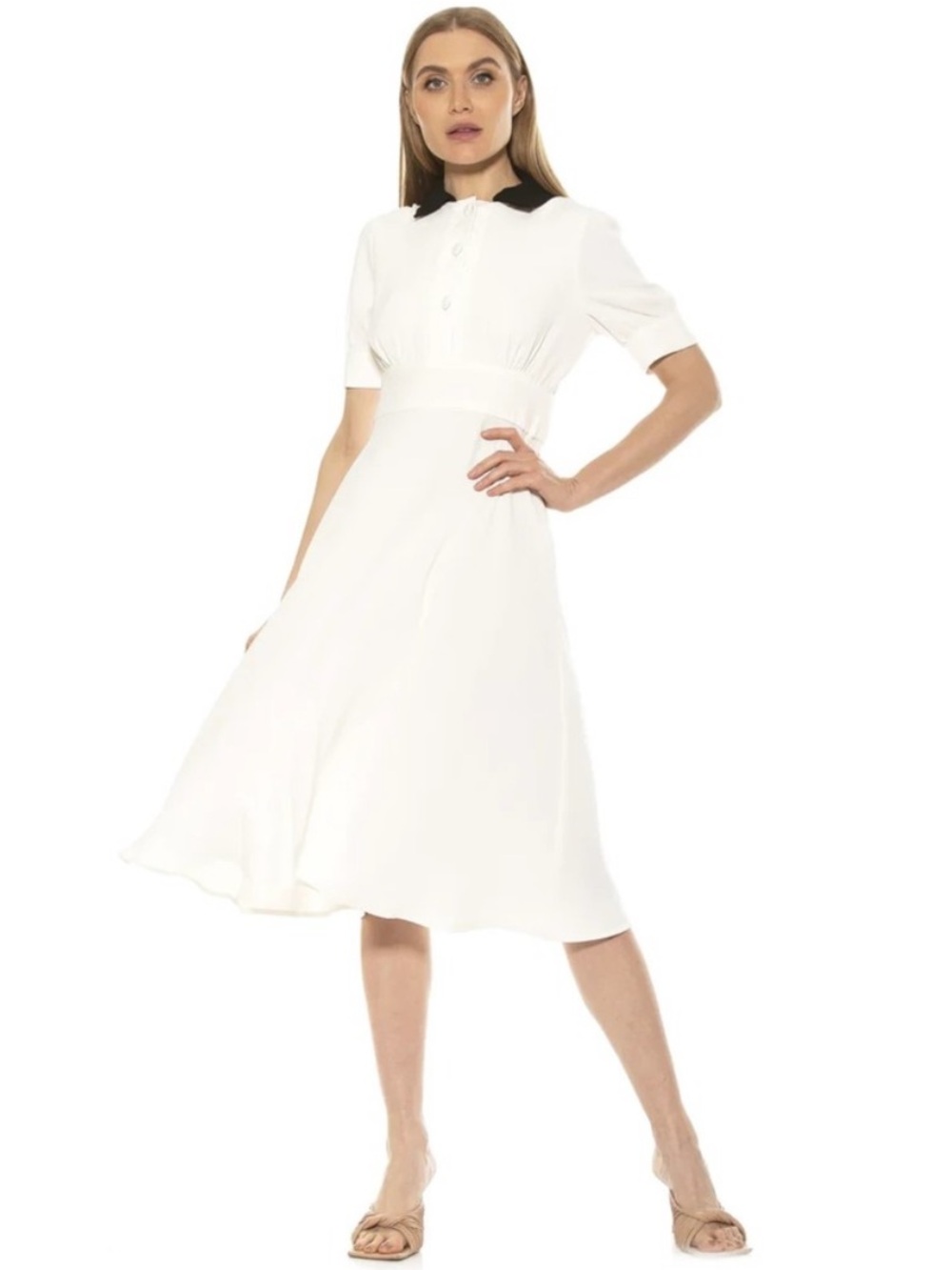 Alexia Admor Emery Dress ivory w/black collar Sz: 6 NWT